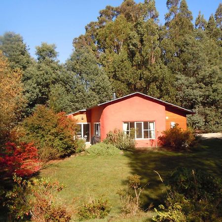 Whispering Spirit Holiday Cottages & Mini Ponies Franklin Екстер'єр фото
