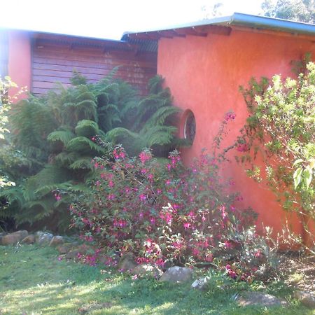 Whispering Spirit Holiday Cottages & Mini Ponies Franklin Екстер'єр фото