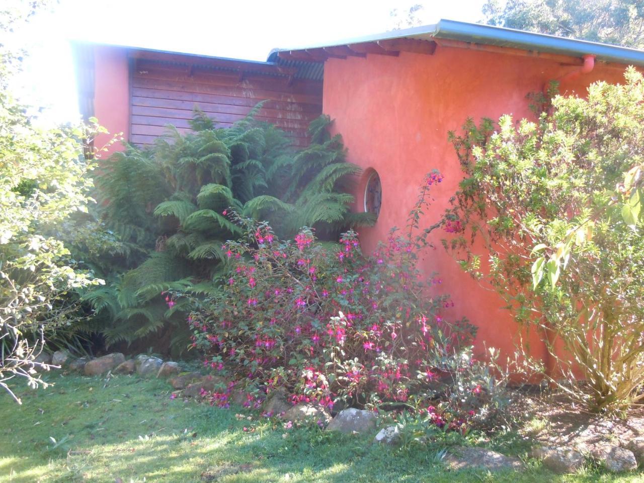 Whispering Spirit Holiday Cottages & Mini Ponies Franklin Екстер'єр фото
