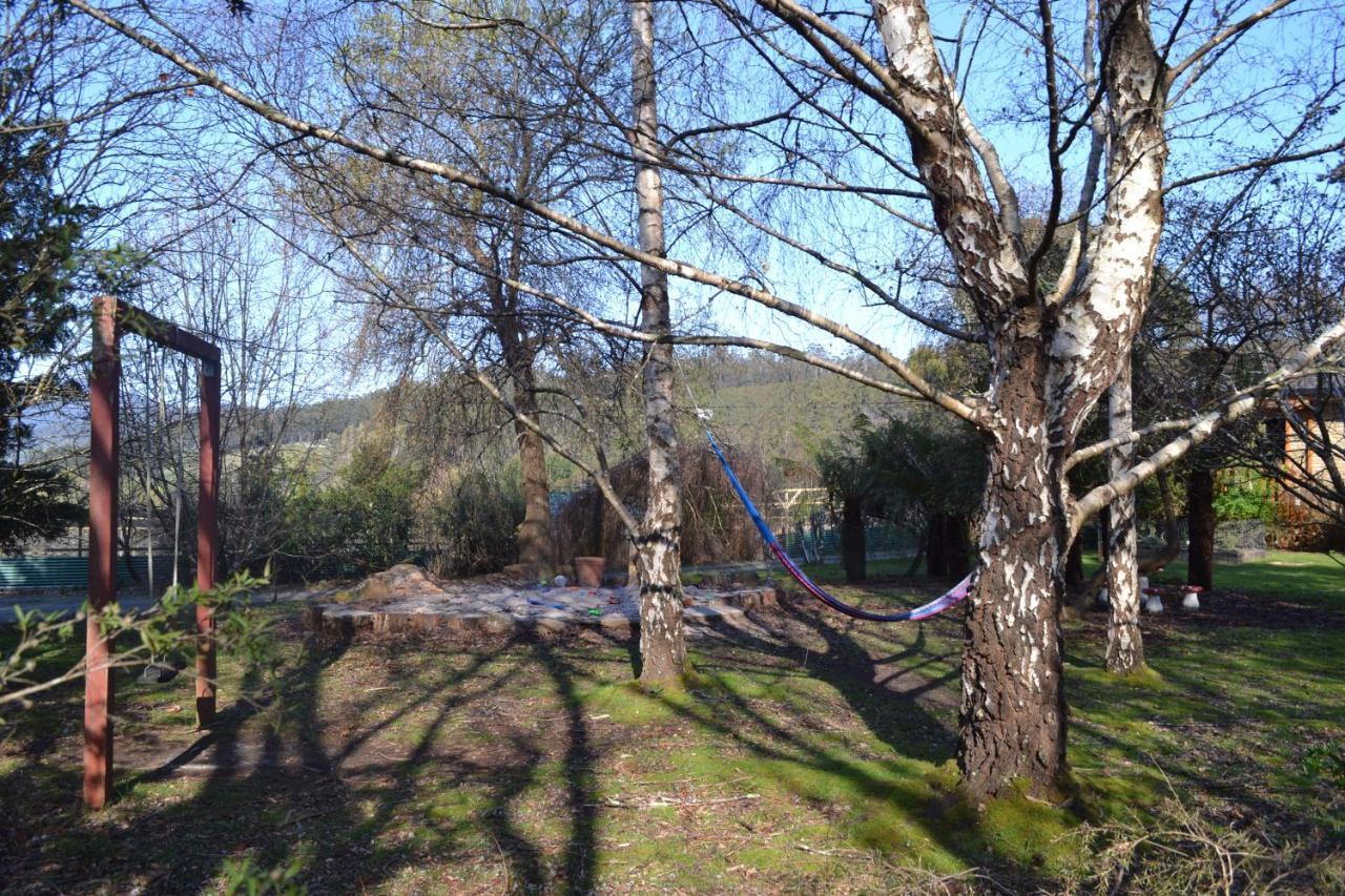Whispering Spirit Holiday Cottages & Mini Ponies Franklin Екстер'єр фото